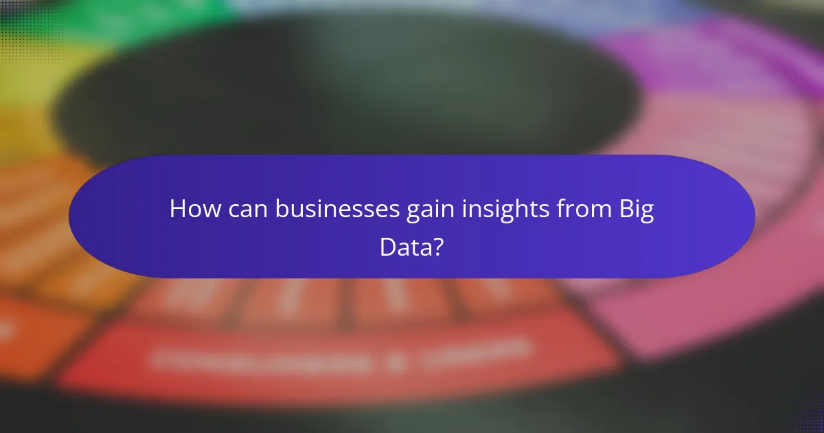 How can businesses gain insights from Big Data?