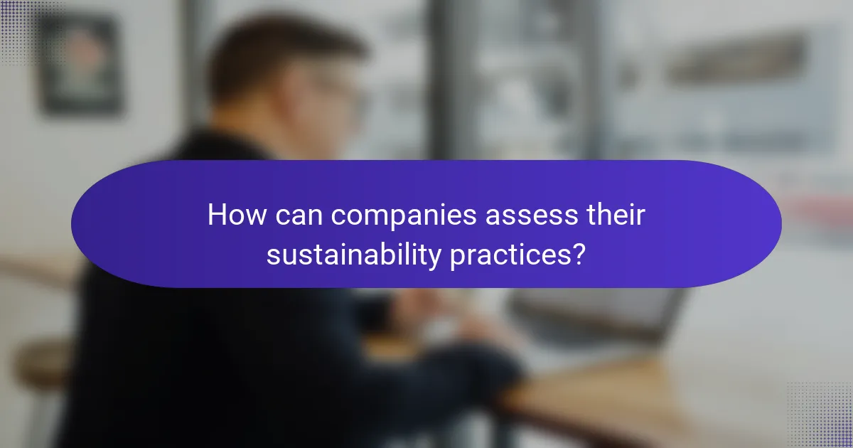 How can companies assess their sustainability practices?