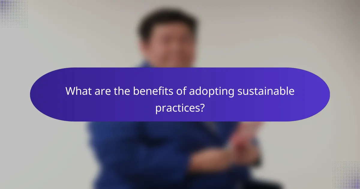 What are the benefits of adopting sustainable practices?
