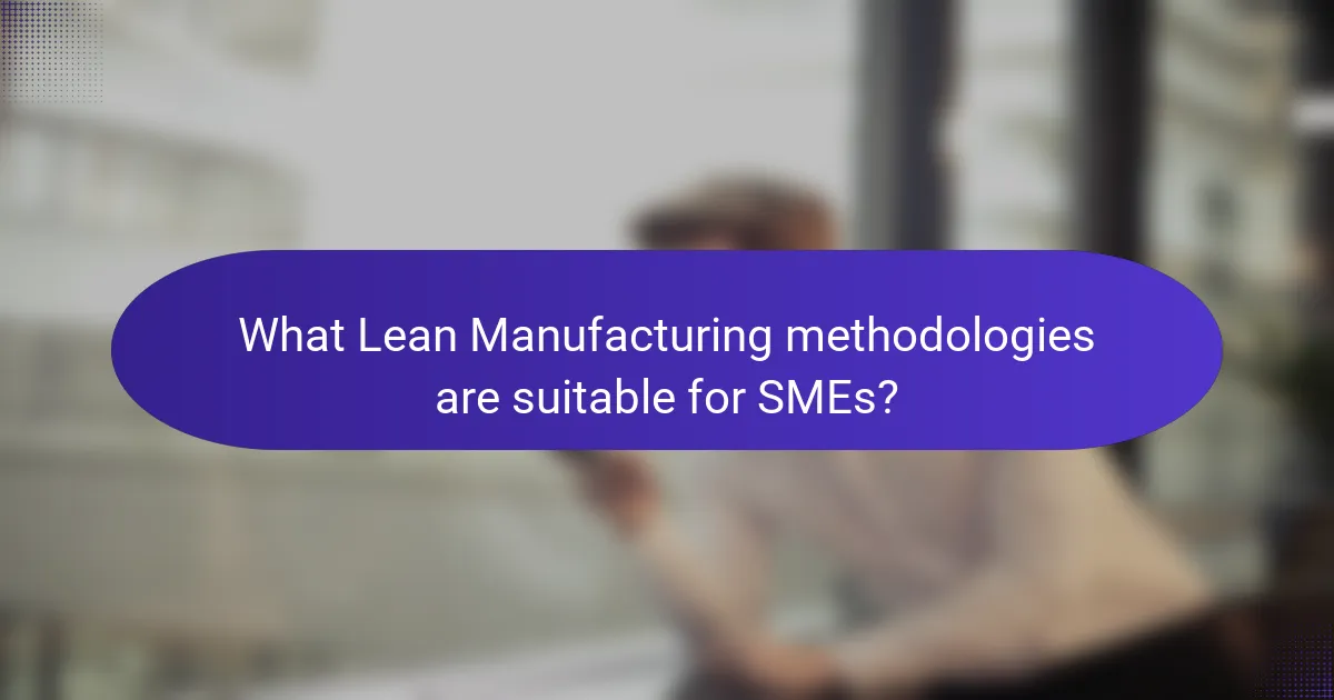 What Lean Manufacturing methodologies are suitable for SMEs?